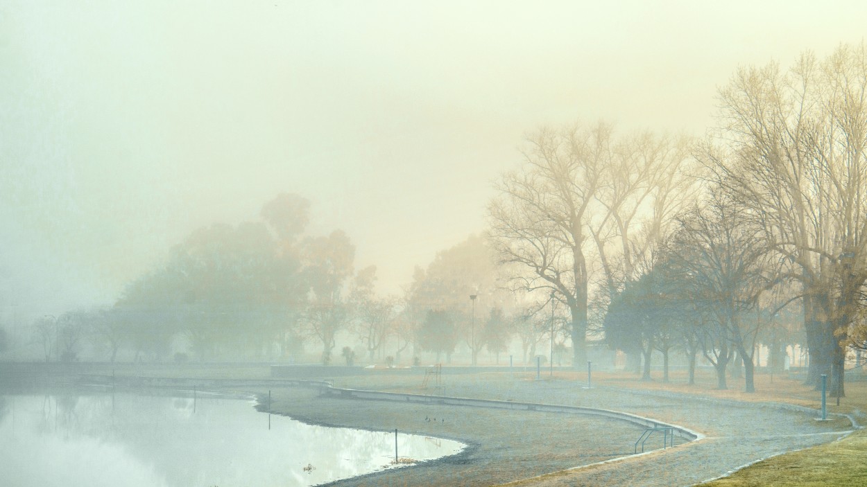 "Niebla y la luz del sol" de Eli - Elisabet Ferrari
