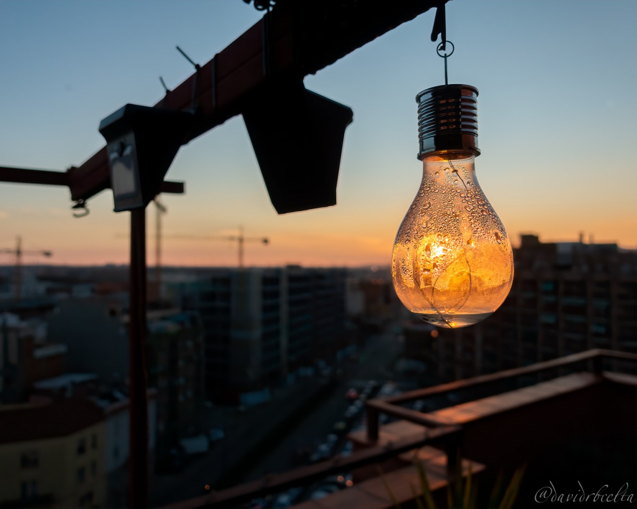 "january bulb light" de David Roldn