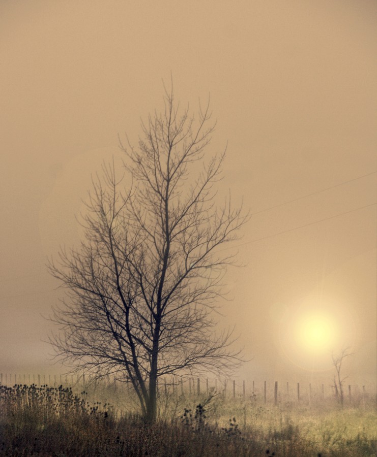 "Atardecer con niebla" de Eli - Elisabet Ferrari