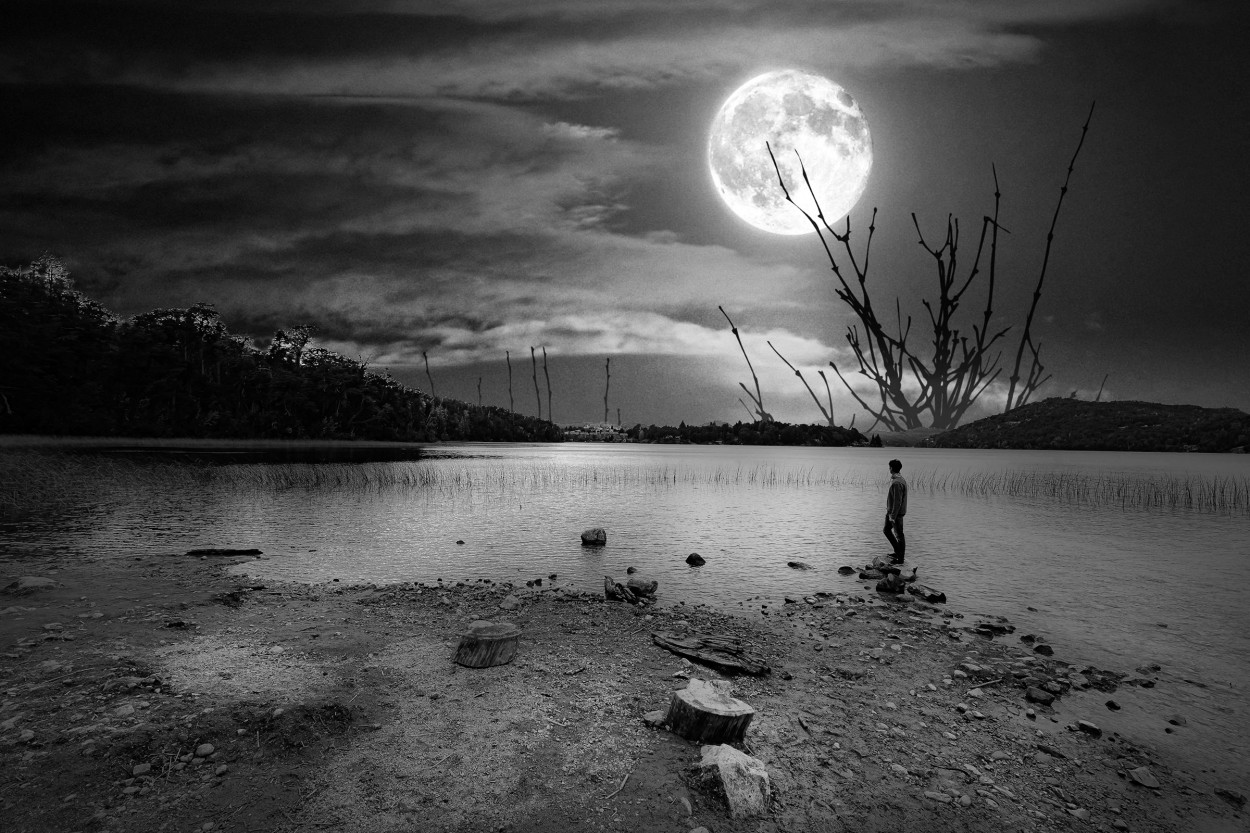 "Noche de luna en soledad..." de Carlos Cavalieri