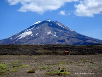Volcan MAIPO, altura 5.264 metros S.N.D.M.