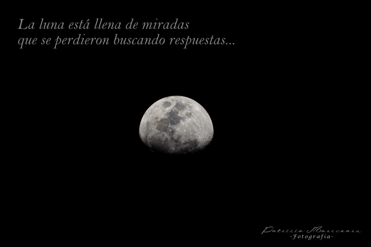 "Bella luna!!!" de Patricia Marcenaro