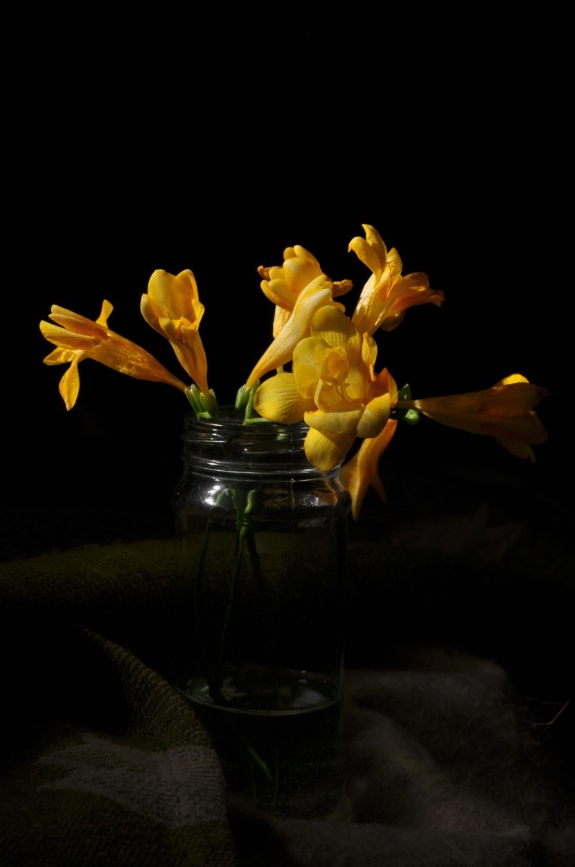 "Mis fresias amarillas...." de Alicia Di Florio