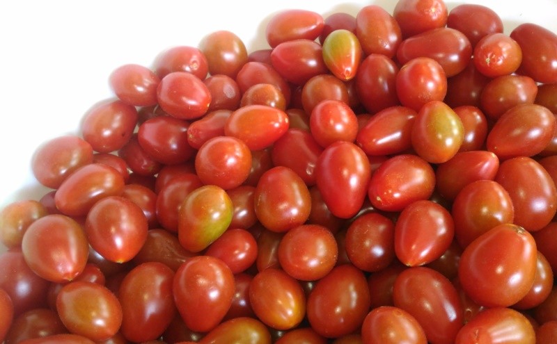 "Tomate-cereja, frutos e um unico p!" de Decio Badari