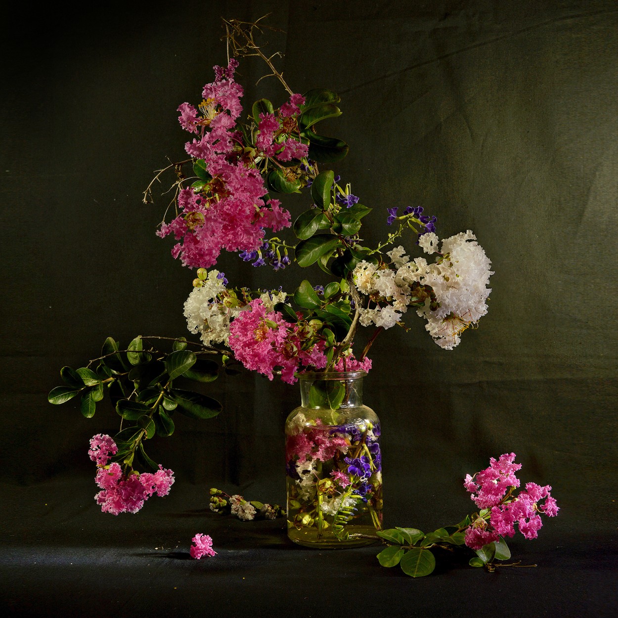"Flores callejeras." de Pascual Dippolito