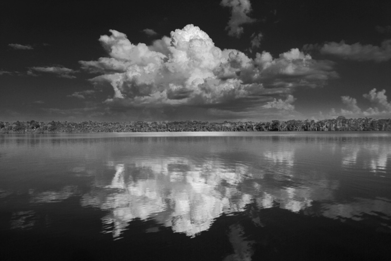 "La nube" de Osvaldo Sergio Gagliardi