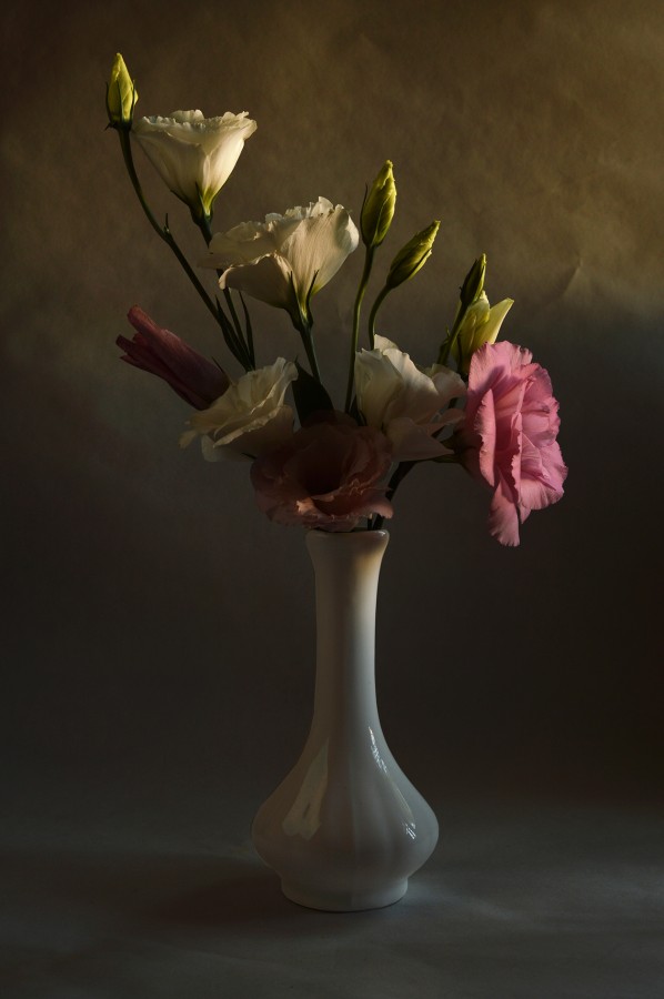 "Simplemente flores." de Pascual Dippolito