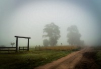 La entrada en la niebla