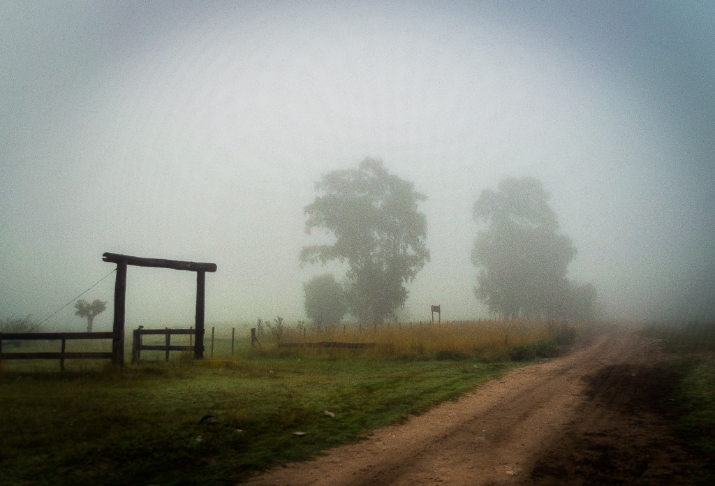 "La entrada en la niebla" de Fernando Valdez Vazquez