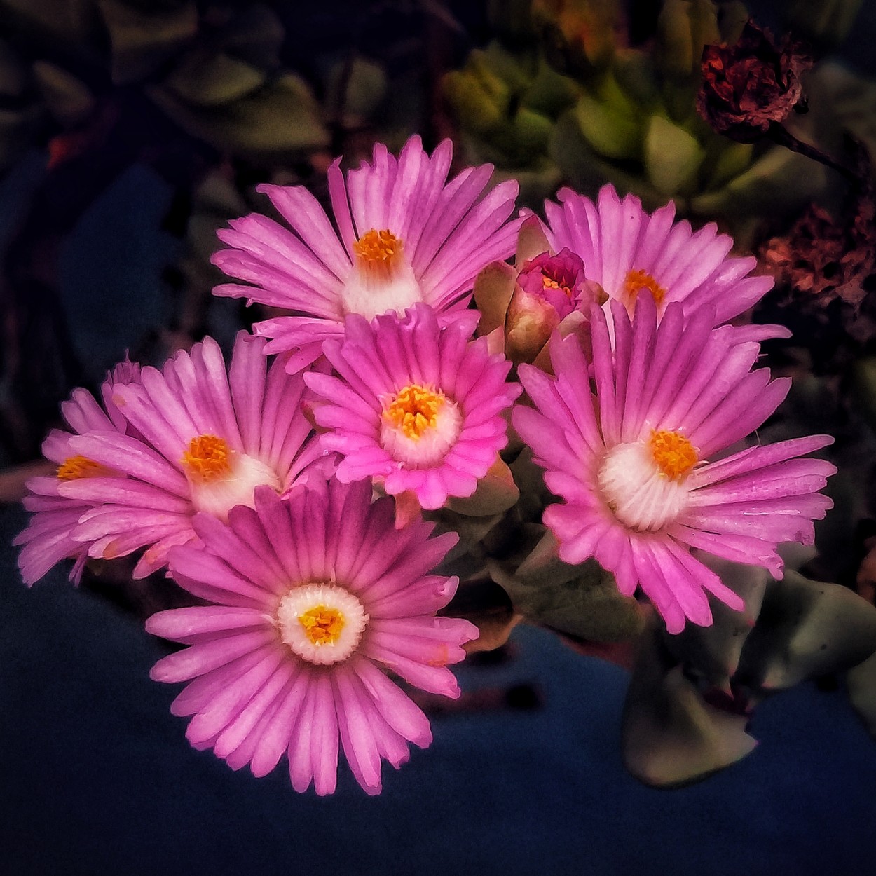 "Flores en primavera" de Roberto Guillermo Hagemann