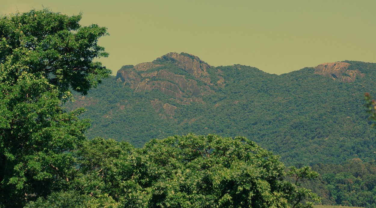 "A nossa Serra da Mantiqueira, uma reserva verde !" de Decio Badari