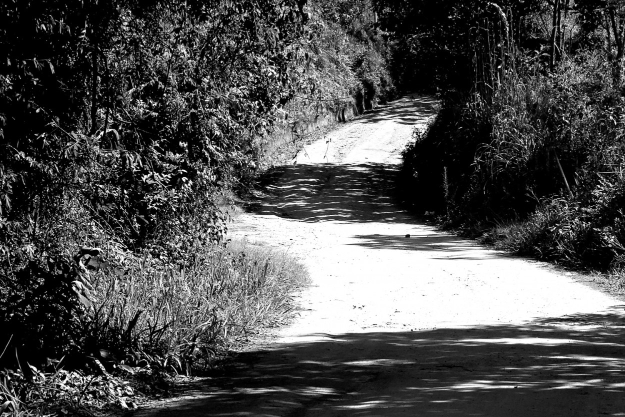 "Luz e sombras, nesta minha caminhada." de Decio Badari