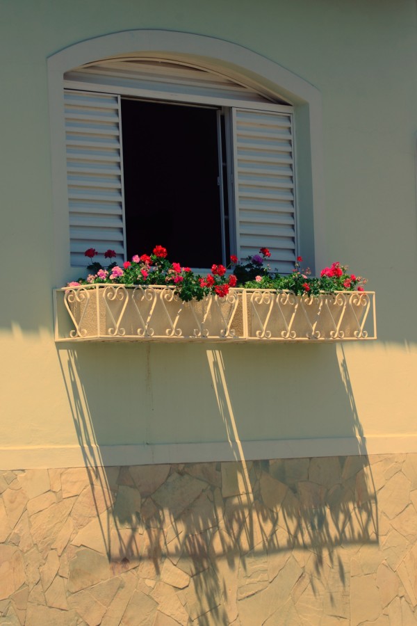 "Mariazinha botou flores na janela pensando........" de Decio Badari