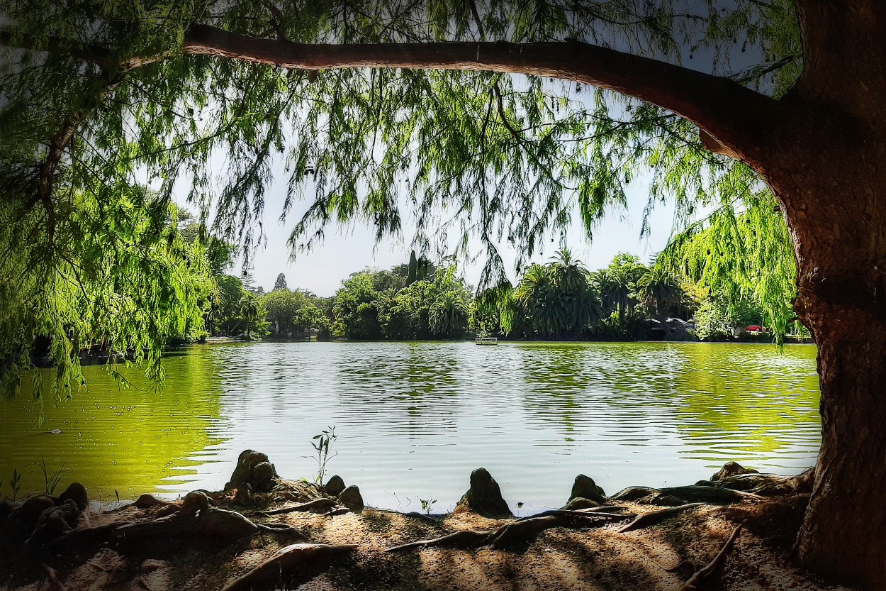 "Lago del bosque, La Plata." de Kile Zabala