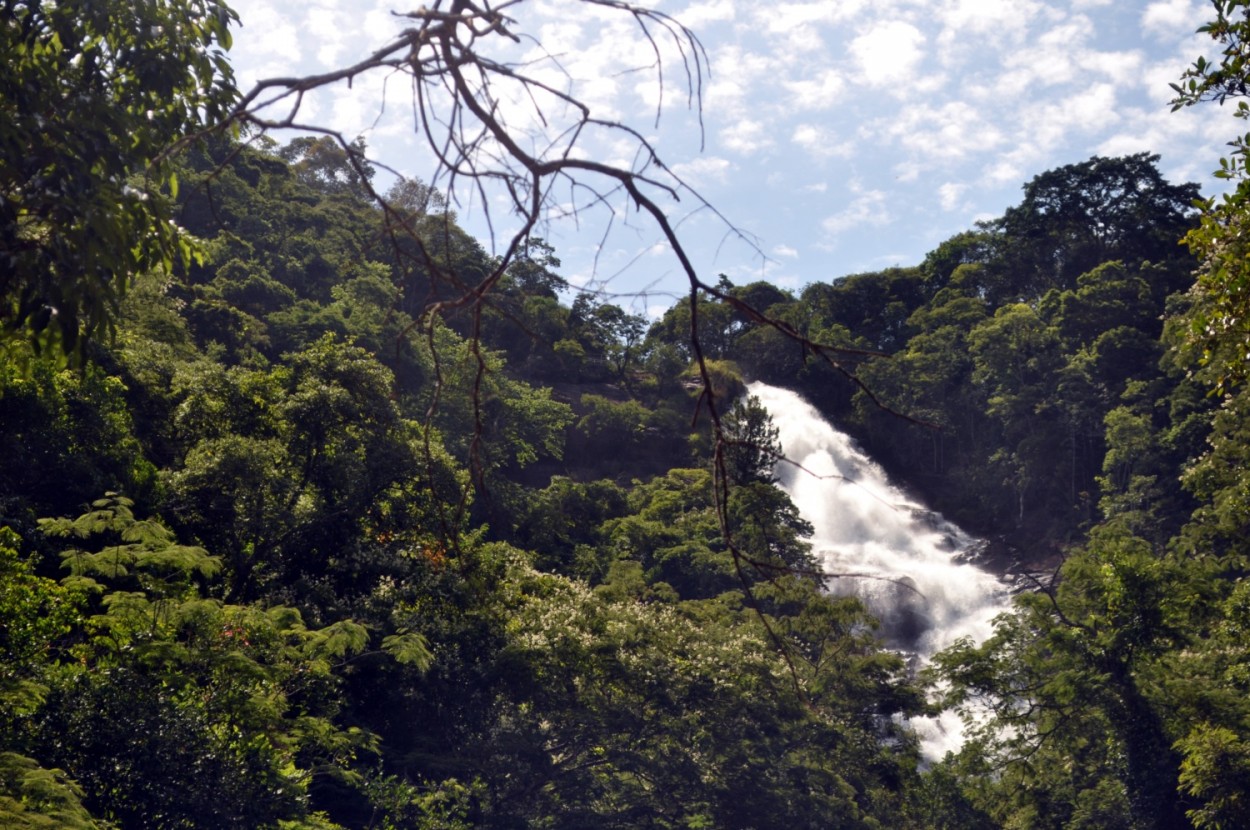"Hoje visitei a nossa` Cachoeira dos Pretos `......" de Decio Badari