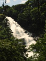 `Cachoeira dos Pretos ` 154 mts. de queda de gua.