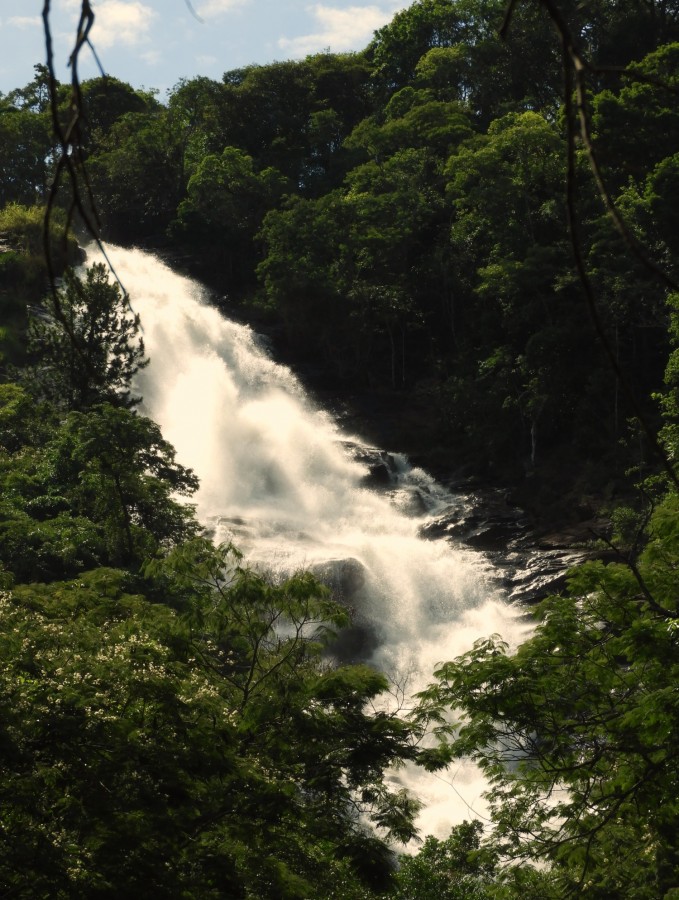 "`Cachoeira dos Pretos ` 154 mts. de queda de gua." de Decio Badari