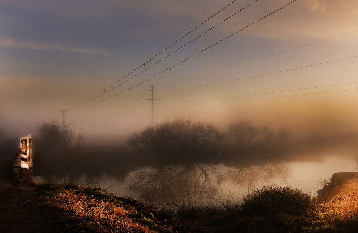 "niebla del alba" de Viviana Garca