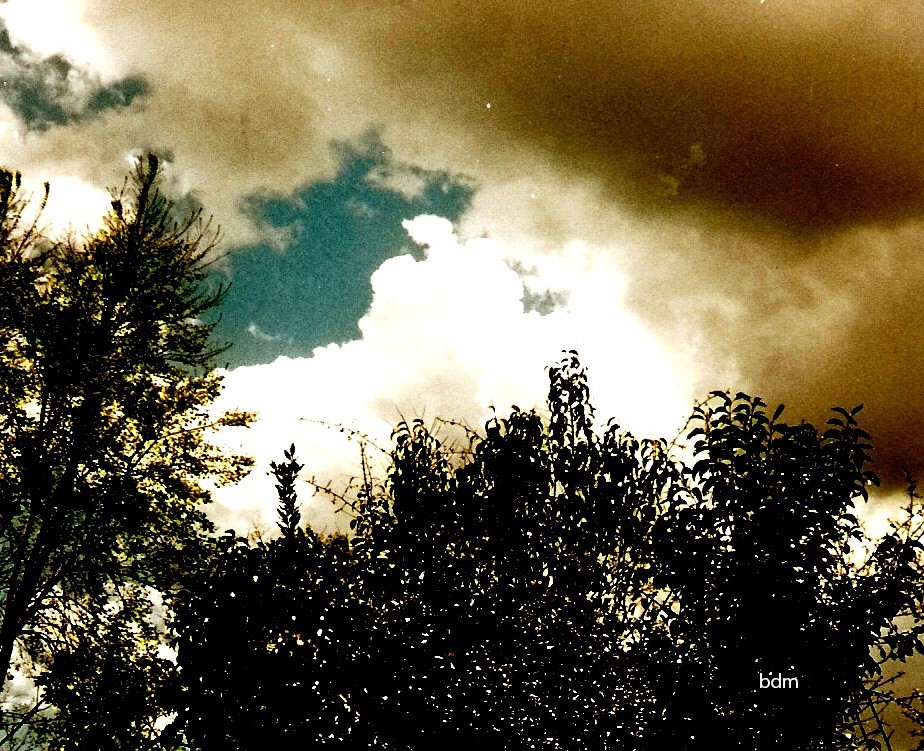 "nubes de tormenta" de Beatriz Di Marzio