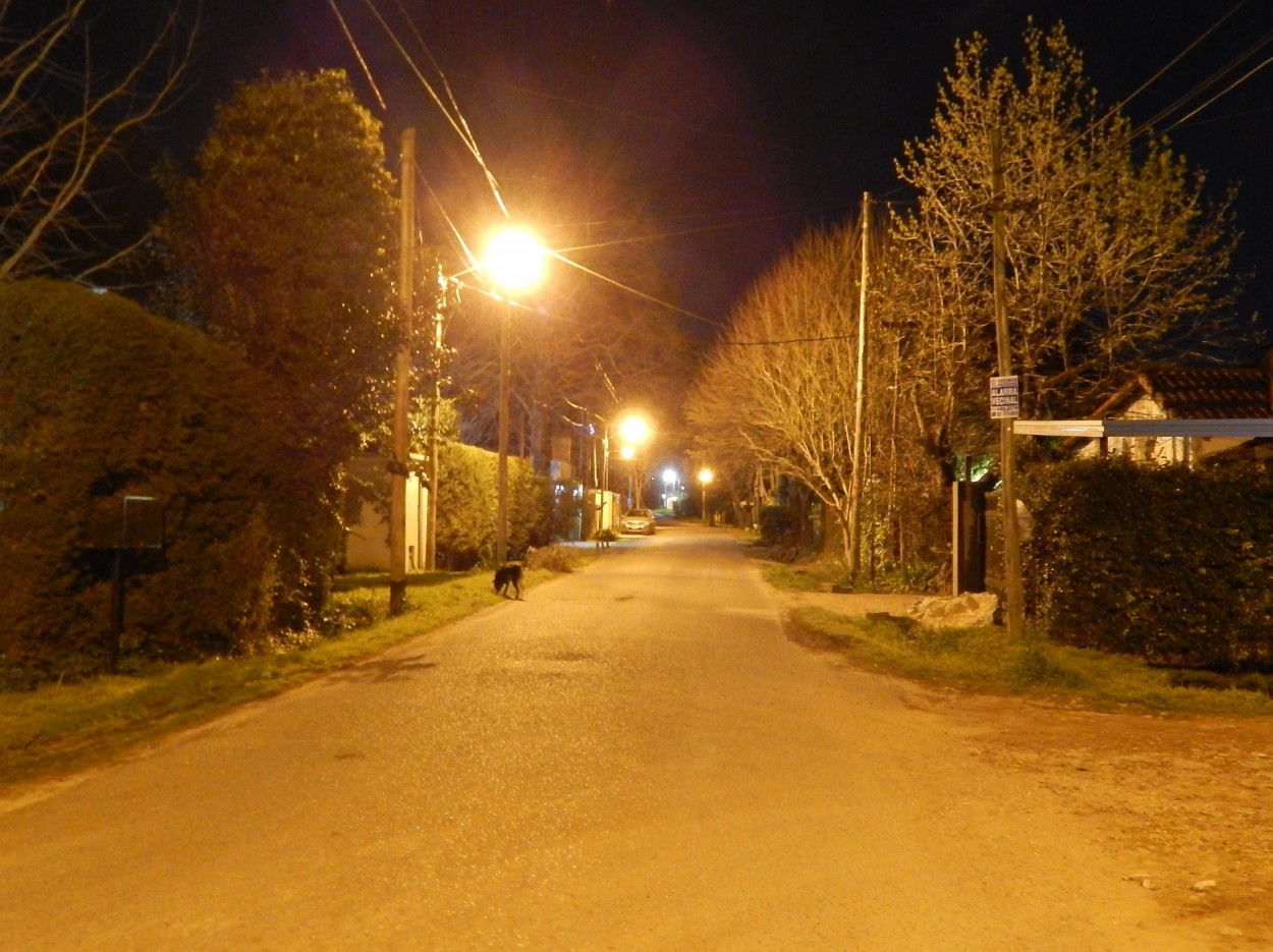 "Noche en mi barrio" de Jos Luis Mansur
