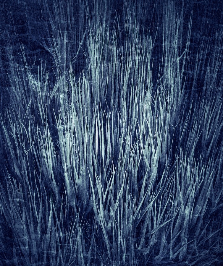"Azul abstracto" de Roberto Guillermo Hagemann
