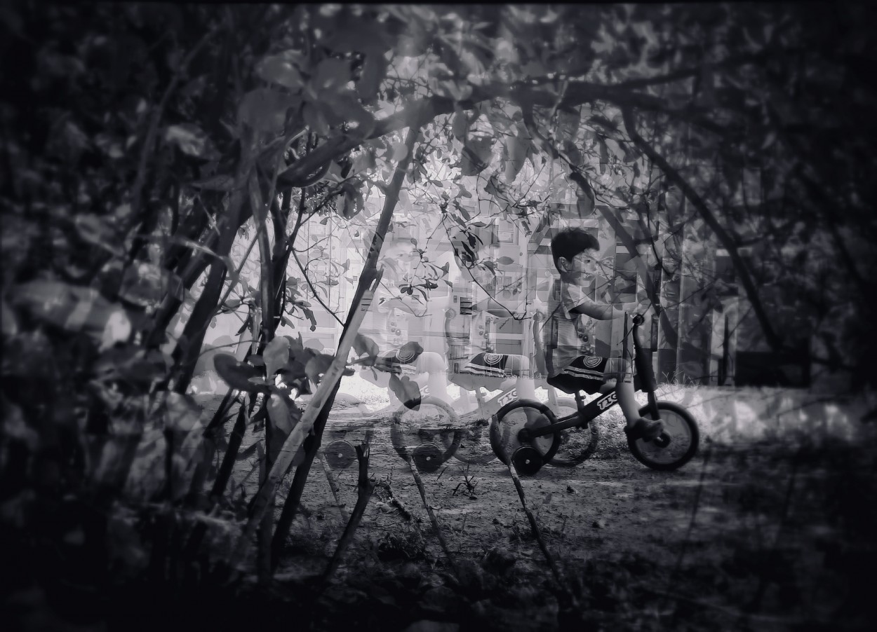 "En Bici" de Jos Manuel Molina