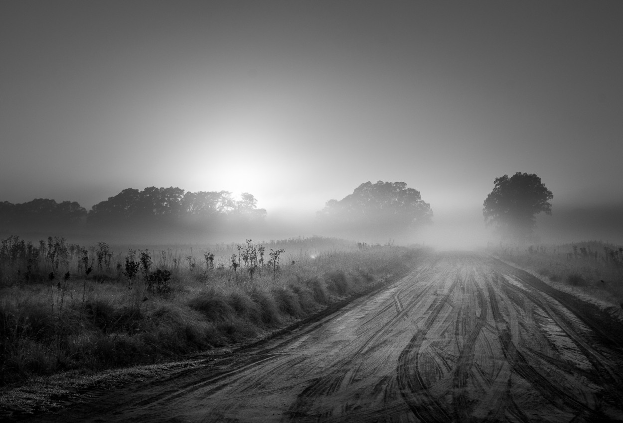 "Niebla en el camino byn" de Fernando Valdez Vazquez