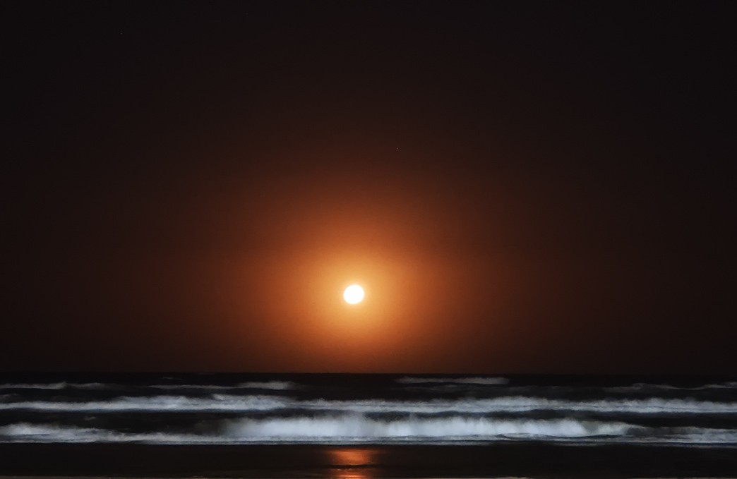 "la luna y el mar" de Mercedes Orden