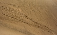 Formas en las dunas