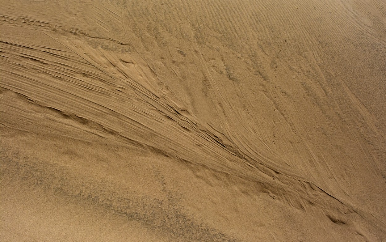 "Formas en las dunas" de Raquel Perazo