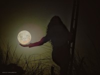 La Dama y su Luna
