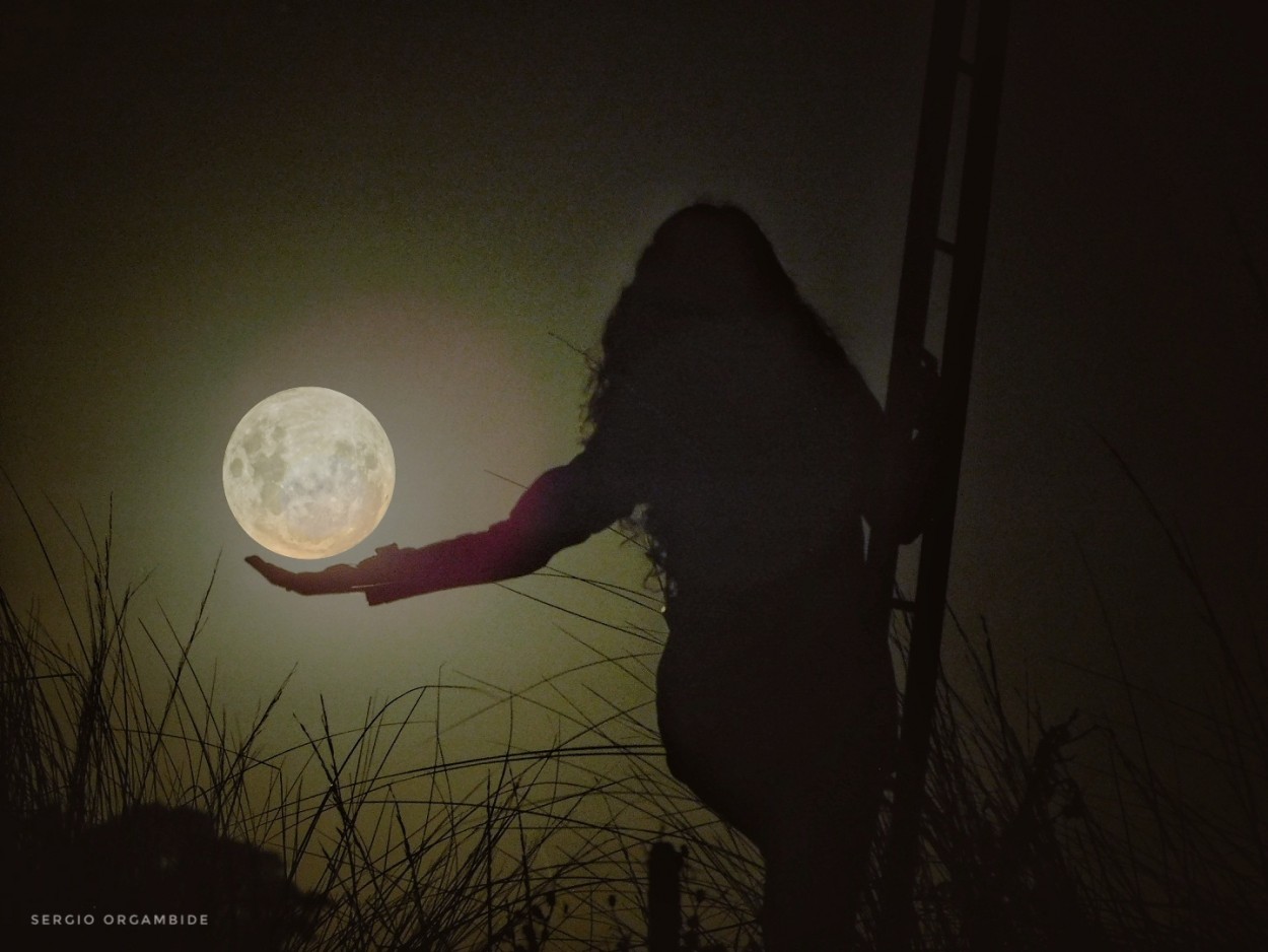 "La Dama y su Luna" de Sergio Adrian Orgambide
