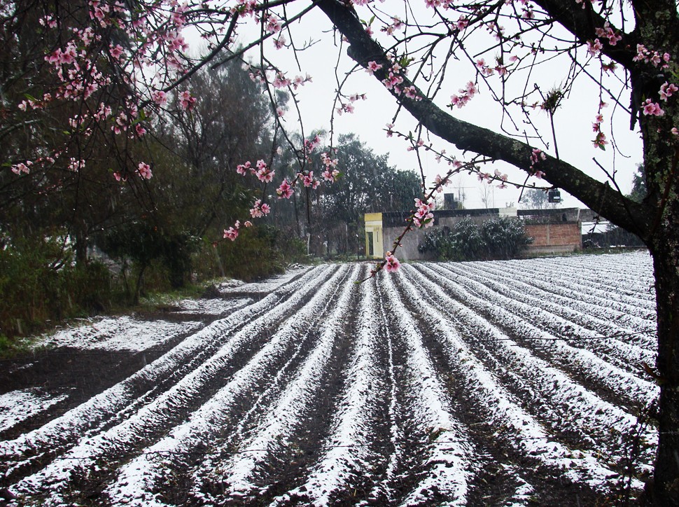 "Ultima nieve en primavera" de Ruben Perea