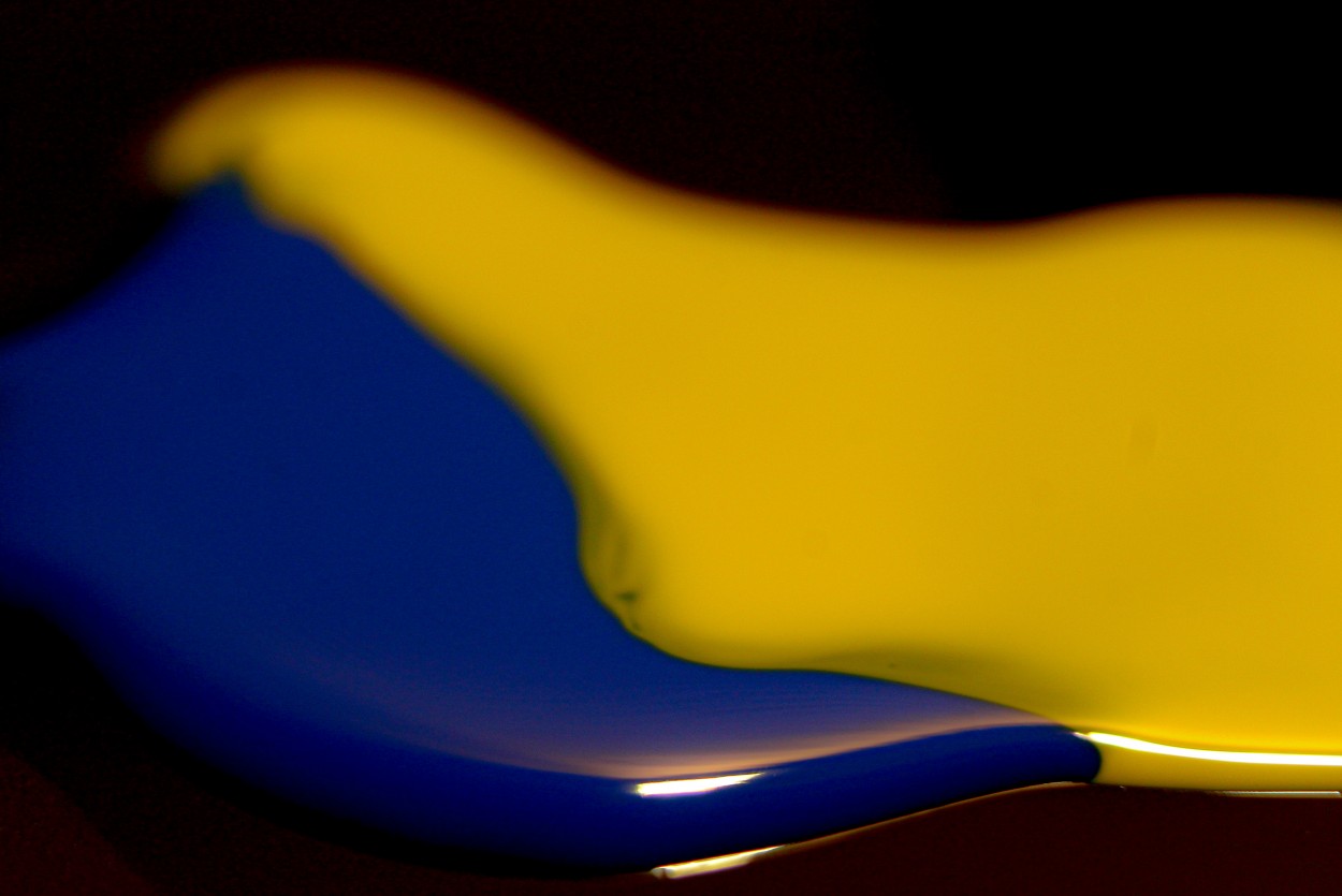 "Azul y amarillo" de Patricio Abel Vera