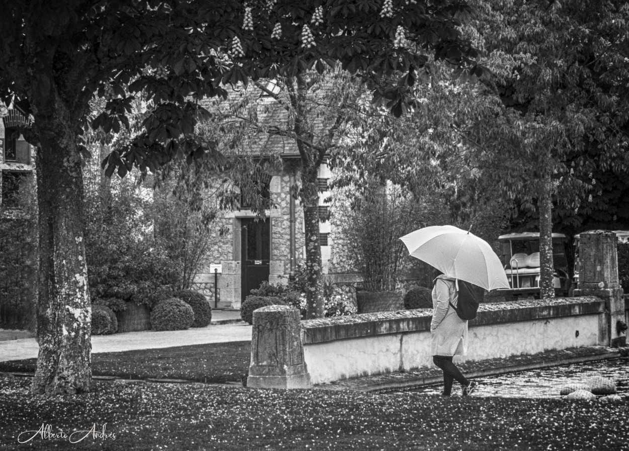 "La chica del paraguas blanco" de Alberto Andrs Melo