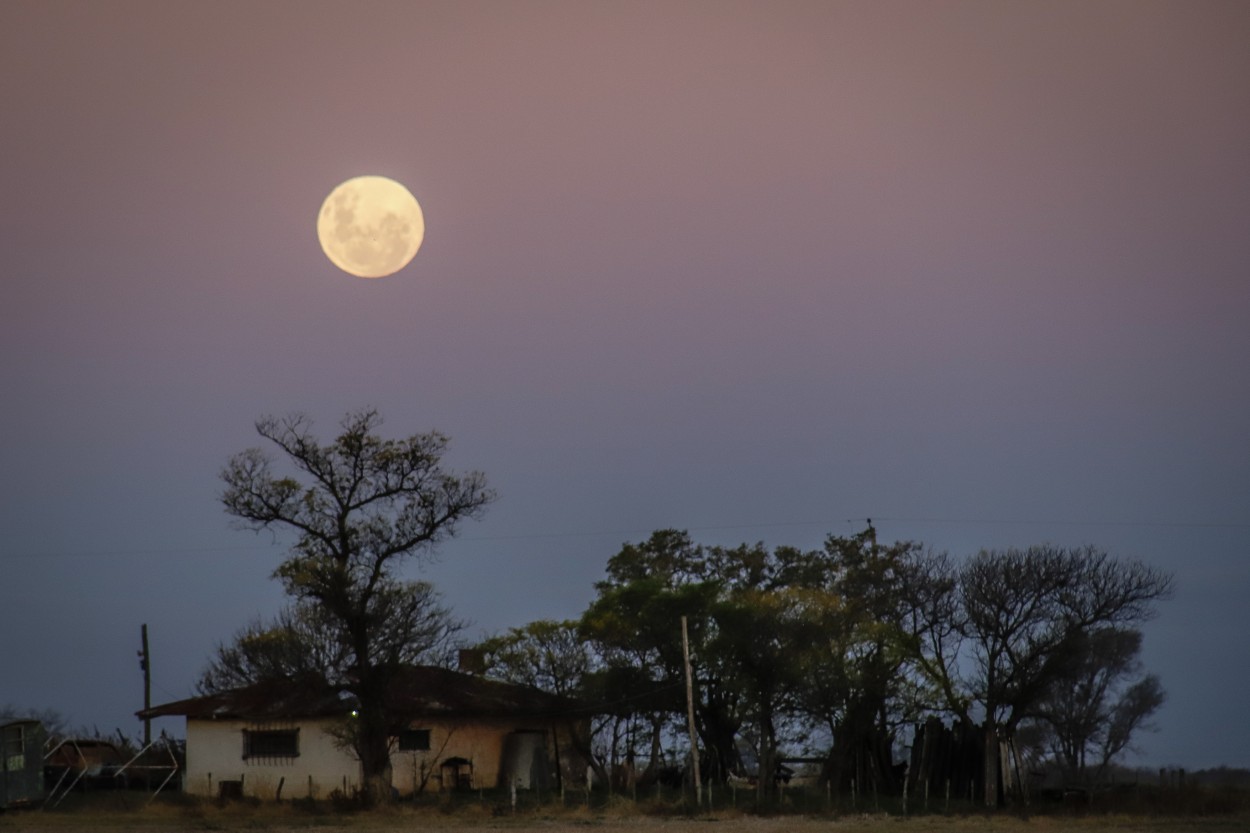 "Luna antes de ser eclipsada" de Susana Garcia Hillcoat