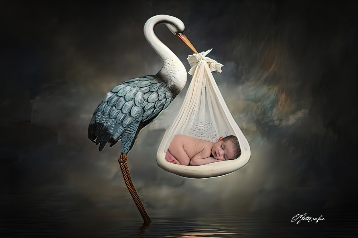 "Newborn" de Claudia Soora