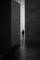 Guggenheim VII…