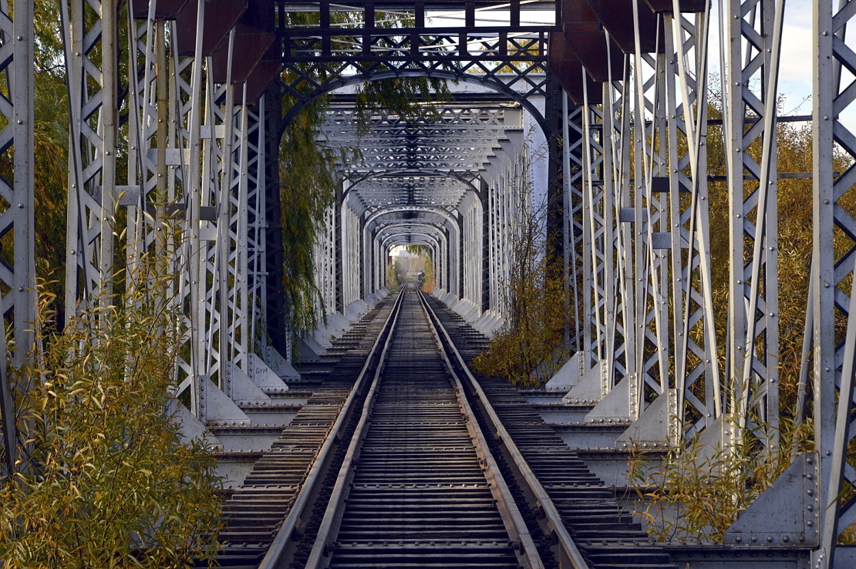 "puente ferroviario" de Marcos Pedro Escudero