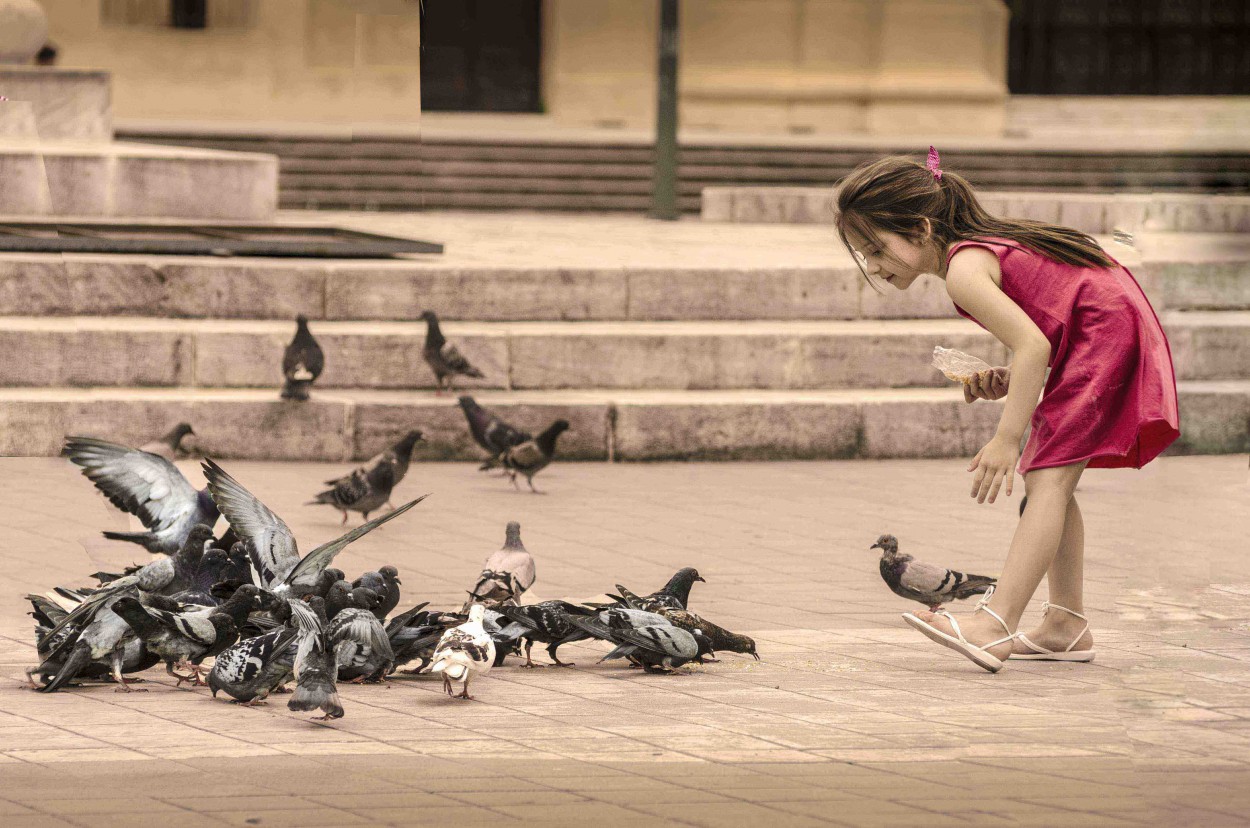 "alicia en el pais de las palomas..." de Jorge Toloza