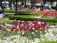 Primavera en Estambul