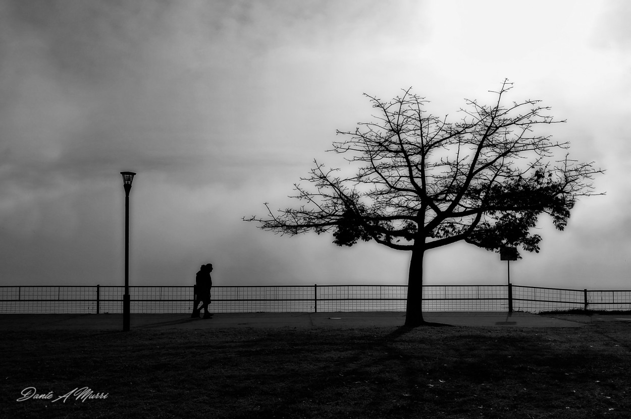 "De niebla y soledades." de Dante Murri