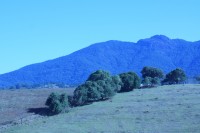 Joanpolis, onde as montanhas ` so azuis `......