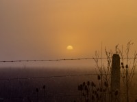 niebla del amanecer pampa
