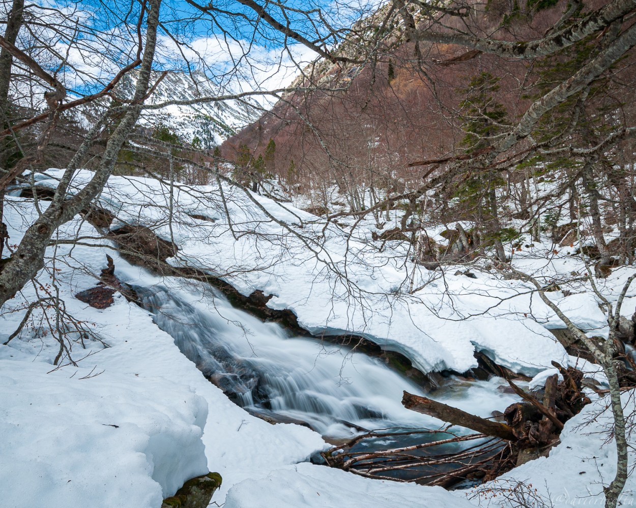 "L`hivern a la vall de Salenques" de David Roldn
