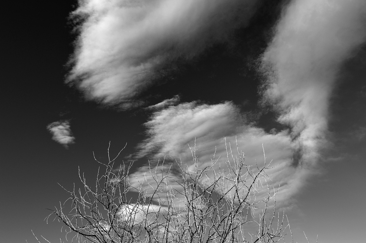 "...y las nubes" de Marcos Pedro Escudero