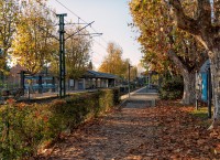 Estación y hojas