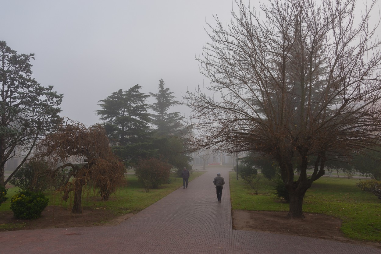 "Niebla en la plaza" de Fernando Valdez Vazquez