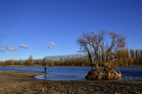 Limay