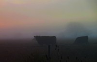 niebla de la mañana